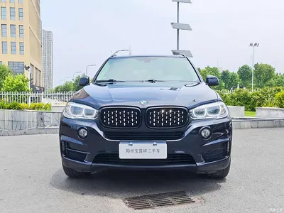 2015 BMW X5 (Import) xDrive28i, фото 2, лот 10431812