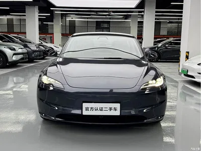 2025 Tesla Model 3 Model Rear-Wheel Drive Edition, фото 1, лот 11565342