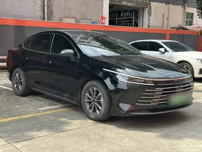 2024 BYD Destroyer 05 Glory Edition DM-i 55KM Luxury, фото 4, лот 11133760
