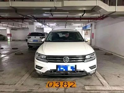 2019 Volkswagen Tiguan L 330TSI Automatic 2WD Smart Luxury Edition China VI, фото 2, лот 10461692