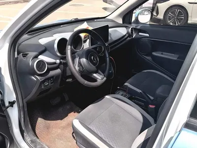 2019 Ora Black Cat 301km Standard, фото 4, лот 11549988