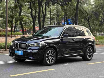 2019 BMW X5 (Import) xDrive40i M Sport Package, фото 1, лот 11101846