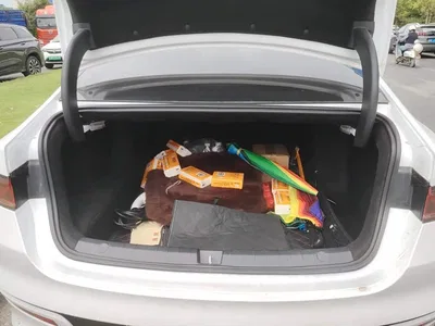 2024 BYD Qin PLUS Glory Edition DM-i 55KM Leading, фото 4, лот 11520092