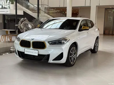 2023 BMW X2 sDrive 25i Radiance Edition, фото 1, лот 10238490