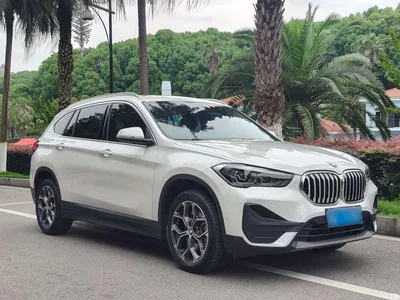 2022 BMW X1 sDrive25Li Leading, фото 3, лот 10577991