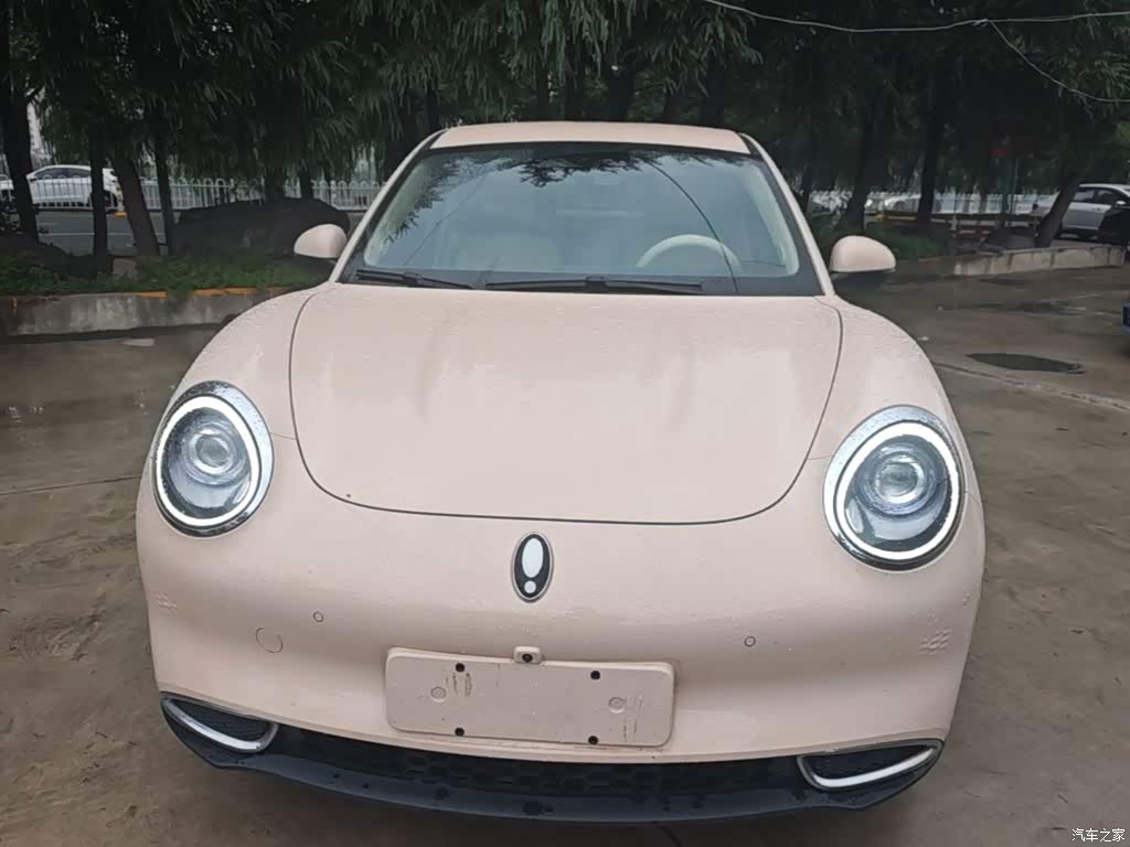 2023 Ora Good Cat 401km Standard Range Luxury LFP, фото 3, лот 11219669