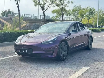 2020 Tesla Model 3 Standard Range Rear-Wheel Drive Upgrade, фото 1, лот 11089592