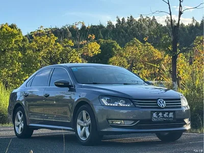 2014 Volkswagen Passat 1.8TSI DSG Executive Edition, фото 3, лот 10417647