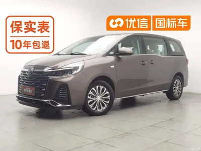 2023 Buick GL8 Model Land Business Class Comfort, фото 1, лот 10689548