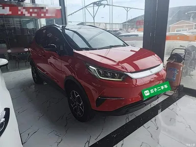 2021 BYD Yuan Pro 401KM Luxury Model, фото 4, лот 10362748