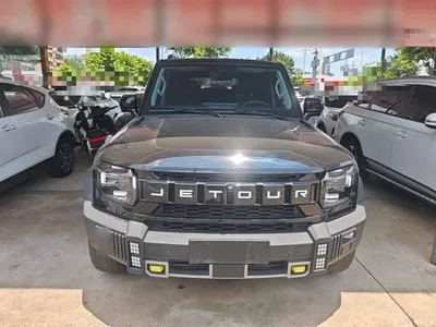 2023 Jetour Traveler Model 2.0T 4WD Cross PRO, фото 3, лот 10433821