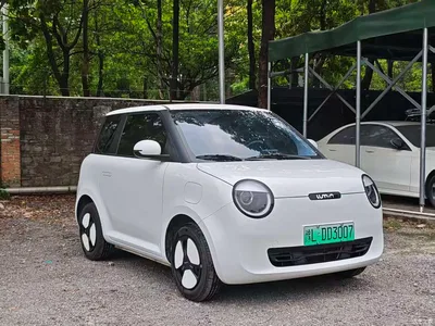 2025 Changan Qiyuan Changan Lumin 205km Fragrant Infusion Edition, фото 3, лот 10407761