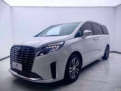2021 Buick GL8 ES Landlord 653T Comfort, фото 1, лот 10611977