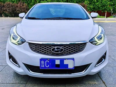 2016 Hyundai Langdong 1.6L Automatic Smart Edition, фото 2, лот 10831536
