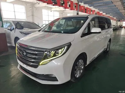 2018 GAC Trumpchi Trumpchi M8 320T Exclusive Edition, фото 2, лот 10422831