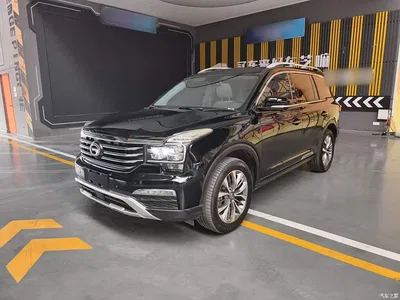 2017 GAC Trumpchi Trumpchi GS8 320T 2WD Luxury Smart Connect (7-seater), фото 1, лот 10423247