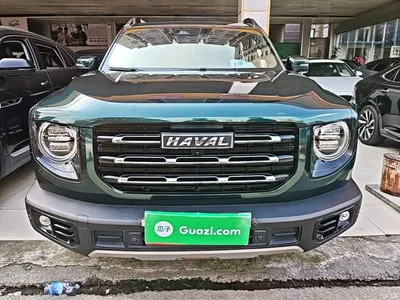2021 Haval Big Dog 2.0T DCT AWD Howling Celestial Dog Edition, фото 3, лот 11585674