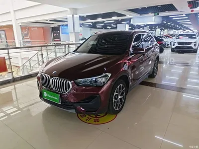 2021 BMW X1 sDrive25Li Leading, фото 2, лот 10467284