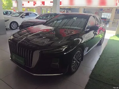 2025 Hongqi H5 2.0T Automatic Flag Celebration 500,000 Units Anniversary Edition, фото 2, лот 10289246