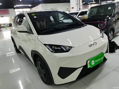 2025 BYD Seagull Smart Drive Edition 305km Vitality Version, фото 4, лот 10260655