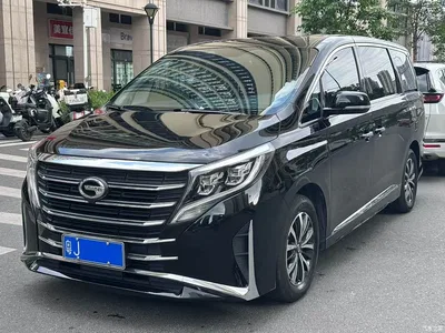 2021 GAC Trumpchi Trumpchi M8 Leading Show Series 390T Premium Edition, фото 1, лот 10418330