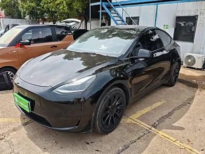 2022 Tesla Model Y Facelift Rear-Wheel Drive Version, фото 1, лот 10370574