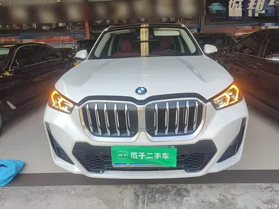 2023 BMW X1 sDrive25Li M Sport Package, фото 3, лот 10467362