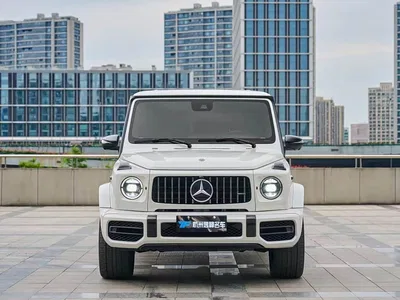 2019 Mercedes-Benz G-Class G 500, фото 2, лот 10242165