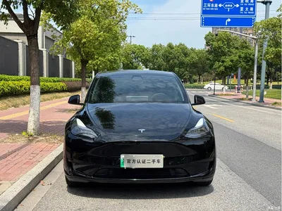 2022 Tesla Model Y Rear-Wheel Drive Version, фото 2, лот 11187886