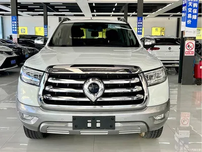 2021 Great Wall Pao 2.0T Passenger Global Edition Automatic Diesel 4WD Premium Standard Box GW4D20M, фото 2, лот 10246032