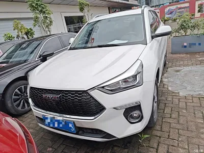 2020 Haval H6 Coupe Smart Connect Edition 1.5T Automatic 2WD Elite, фото 3, лот 10286067