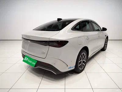 2025 BYD Seal 06 New Energy DM-i Smart Drive 80KM Luxury, фото 4, лот 10625841