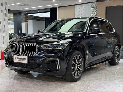 2022 BMW X5 Facelift xDrive 30Li Premium M Sport Package, фото 1, лот 10376214
