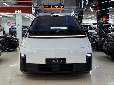 2025 Li Auto MEGA Model Home Family Special Edition, фото 2, лот 10445904