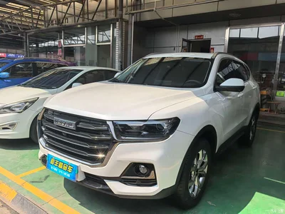 2021 Haval H6 National Trend Edition 1.5GDIT Automatic Champion Edition, фото 1, лот 10306167
