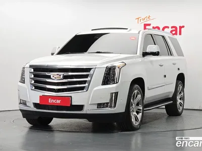 2020 Cadillac Escalade 6.2, фото 1, лот 10116799