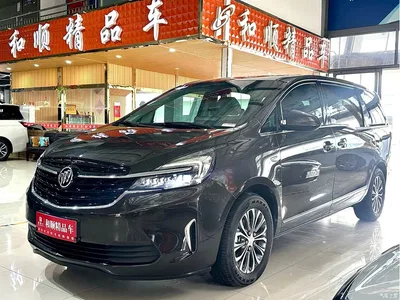 2021 Buick GL8 Land Business Class 652T Luxury, фото 1, лот 11210613