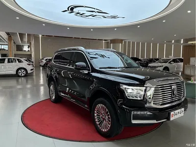 2024 Tank 500 EV Hi4-T, фото 3, лот 10401524
