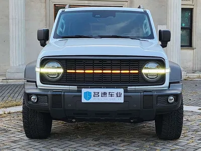 2024 Tank 300 Model 2.0T Challenger, фото 2, лот 11247529