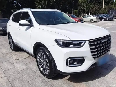 2020 Haval H6 1.5GDIT Automatic Platinum Champion Edition, фото 4, лот 11301897