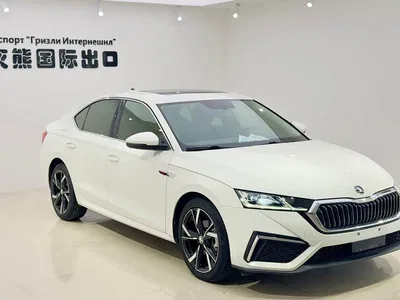 2022 Škoda Octavia PRO TSI280 Luxury Edition, фото 3, лот 10348765