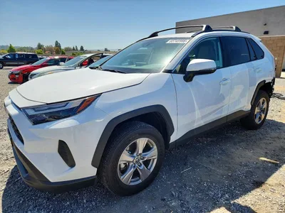 2025 TOYOTA RAV4 XLE, фото 1, лот 11576025