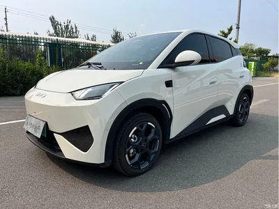 2025 BYD Seagull Smart Driving Edition 405km Flying Edition, фото 1, лот 10842137
