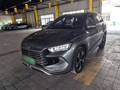 2023 BYD Song Pro New Energy Champion Edition DM-i 110KM Excellence, фото 2, лот 10334889