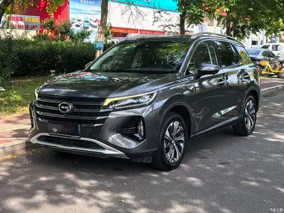2020 GAC Trumpchi Trumpchi GS4 Model 270T Automatic Premium Edition, фото 1, лот 10416539
