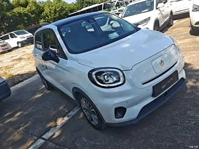 2021 Leapmotor T03 400 Luxury Edition, фото 4, лот 11568919