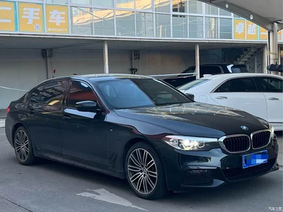 2019 BMW 5 Series 530Li Leading M Sport Package, фото 3, лот 11175862
