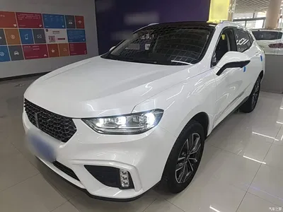 2020 WEY VV5 1.5T 2WD Smart Pioneer, фото 2, лот 10452220
