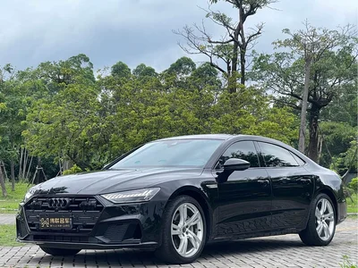 2022 Audi A7L 45 TFSI quattro S-line Wind Rider, фото 1, лот 10239619