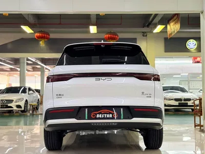 2025 BYD Song Pro New Energy 2nd Gen DM-i 75KM Leading Type, фото 3, лот 10273950